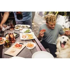 Campingaz Attitude 2100 EX, Gasgrill -Grillausrüstung Verkäufe Campingaz Attitude 2100 EX Gasgrill@@1crcm00w 17