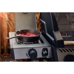 Napoleon Gasgrill Freestyle 365 SB Graphit, Mit Seitenbrenner -Grillausrüstung Verkäufe Napoleon Gasgrill Freestyle 365 SB Graphit mit Seitenbrenner@@1680027 18