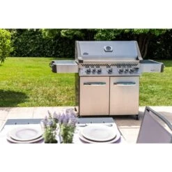 Napoleon Gasgrill Prestige 665 -Grillausrüstung Verkäufe Napoleon Gasgrill Prestige 665@@9ggfen1m 17