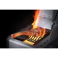 Napoleon Gasgrill Prestige 665 Charcoal Grau -Grillausrüstung Verkäufe Napoleon Gasgrill Prestige 665 Charcoal Grau@@9ggfen0u 5