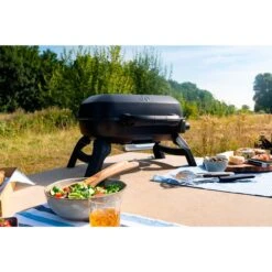 Napoleon Gasgrill TRAVELQ 240 -Grillausrüstung Verkäufe Napoleon Gasgrill TRAVELQ 240@@1872821 13