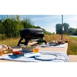 Napoleon Gasgrill TRAVELQ 240 -Grillausrüstung Verkäufe Napoleon Gasgrill TRAVELQ 240@@1872821 14