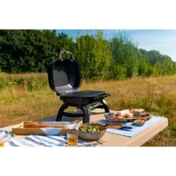 Napoleon Gasgrill TRAVELQ 240 -Grillausrüstung Verkäufe Napoleon Gasgrill TRAVELQ 240@@1872821 16