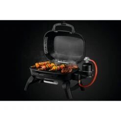 Napoleon Gasgrill TRAVELQ 240 -Grillausrüstung Verkäufe Napoleon Gasgrill TRAVELQ 240@@1872821 9