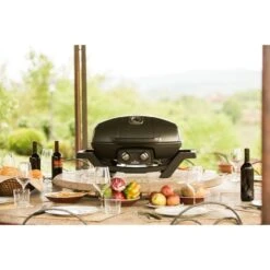 Napoleon Gasgrill TravelQ PRO285 -Grillausrüstung Verkäufe Napoleon Gasgrill TravelQ PRO285@@9ggfen0o 13
