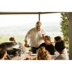 Napoleon Gasgrill TravelQ PRO285 -Grillausrüstung Verkäufe Napoleon Gasgrill TravelQ PRO285@@9ggfen0o 14