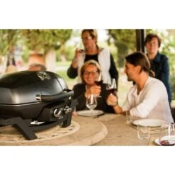 Napoleon Gasgrill TravelQ PRO285 -Grillausrüstung Verkäufe Napoleon Gasgrill TravelQ PRO285@@9ggfen0o 15