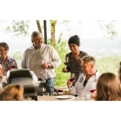 Napoleon Gasgrill TravelQ PRO285 -Grillausrüstung Verkäufe Napoleon Gasgrill TravelQ PRO285@@9ggfen0o 16