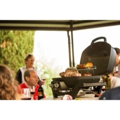 Napoleon Gasgrill TravelQ PRO285 -Grillausrüstung Verkäufe Napoleon Gasgrill TravelQ PRO285@@9ggfen0o 17