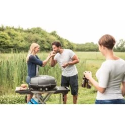 Napoleon Gasgrill TravelQ PRO285X Mit Klappwagen -Grillausrüstung Verkäufe Napoleon Gasgrill TravelQ PRO285X mit Klappwagen@@9ggfen0n 9