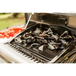 Napoleon Gusseisen-Plancha, Grillplatte -Grillausrüstung Verkäufe Napoleon Gusseisen Plancha Grillplatte@@9ggzzn0s 5