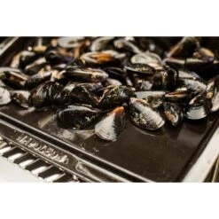 Napoleon Gusseisen-Plancha, Grillplatte -Grillausrüstung Verkäufe Napoleon Gusseisen Plancha Grillplatte@@9ggzzn0s 6