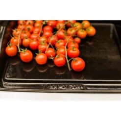 Napoleon Gusseisen-Plancha, Grillplatte -Grillausrüstung Verkäufe Napoleon Gusseisen Plancha Grillplatte@@9ggzzn0s 7