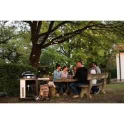 Napoleon Holzkohlegrill PRO22K, Im Rollwagen -Grillausrüstung Verkäufe Napoleon Holzkohlegrill PRO22K im Rollwagen@@9ggffn01 13