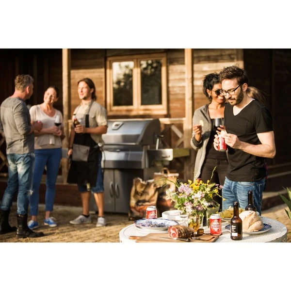 Napoleon Holzkohlegrill PRO605CSS 12 Napoleon Holzkohlegrill PRO605CSS – Bild 10