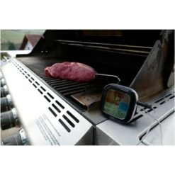 TFA Digitales Grill-Bratenthermometer 14.1509 -Grillausrüstung Verkäufe TFA Digitales Grill Bratenthermometer 14 1509@@1914083 2