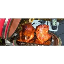 TFA Funk-Ofenthermometer Küchen-Chef Twin -Grillausrüstung Verkäufe TFA Funk Ofenthermometer K chen Chef Twin@@1836964 4