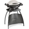 Weber Gasgrill Q 1000 Stand Titan -Grillausrüstung Verkäufe Weber Gasgrill Q 1000 Stand Titan@@9ggfew0a