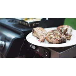 Weber Gasgrill Spirit EPX-325S GBS -Grillausrüstung Verkäufe Weber Gasgrill Spirit EPX 325S GBS@@1694193 16