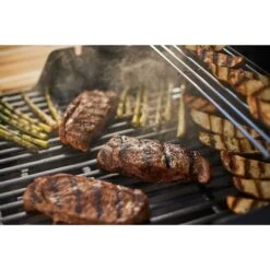 Weber Gasgrill Spirit E-215 GBS Black -Grillausrüstung Verkäufe Weber Gasgrill Spirit E 215 GBS Black@@1694187 10
