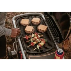 Weber Gasgrill Traveler Black -Grillausrüstung Verkäufe Weber Gasgrill Traveler Black@@1694181 10
