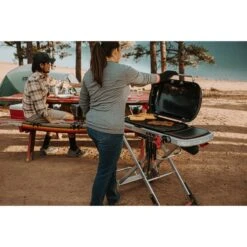 Weber Gasgrill Traveler Black -Grillausrüstung Verkäufe Weber Gasgrill Traveler Black@@1694181 15