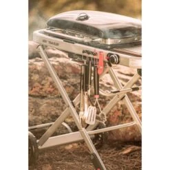 Weber Gasgrill Traveler Black -Grillausrüstung Verkäufe Weber Gasgrill Traveler Black@@1694181 17