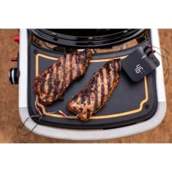 Weber Gasgrill Traveler Black -Grillausrüstung Verkäufe Weber Gasgrill Traveler Black@@1694181 8