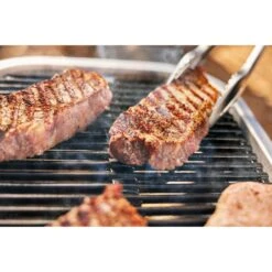 Weber Lumin Elektrogrill -Grillausrüstung Verkäufe Weber Lumin Elektrogrill@@1875480 11