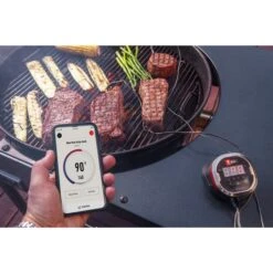 Weber IGrill 2 Mit Zwei Messfühlern 7221, Thermometer -Grillausrüstung Verkäufe Weber iGrill 2 mit zwei Messf hlern 7221 Thermometer@@1303166 10