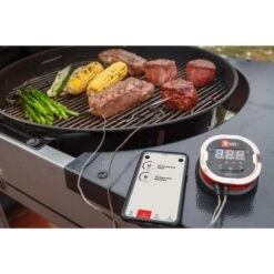 Weber IGrill 2 Mit Zwei Messfühlern 7221, Thermometer -Grillausrüstung Verkäufe Weber iGrill 2 mit zwei Messf hlern 7221 Thermometer@@1303166 8