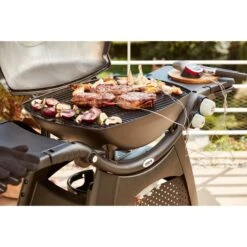Weber IGrill Pro Messfühler Für Grillgut, Thermometer -Grillausrüstung Verkäufe Weber iGrill Pro Messf hler f r Grillgut Thermometer@@1303168 12