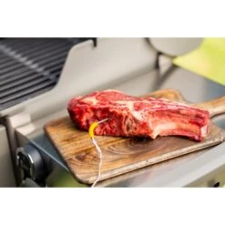 Weber IGrill Pro Messfühler Für Grillgut, Thermometer -Grillausrüstung Verkäufe Weber iGrill Pro Messf hler f r Grillgut Thermometer@@1303168 8
